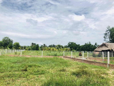 1000m2 có 150m2 thổ (450tr) thoải mái cất nhà, cách Bình Tân, TP. HCM