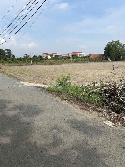 Bán gấp 2 lô đất 1600m2/ lô Hưng Long, Bình Chánh giá rẻ bất ngờ