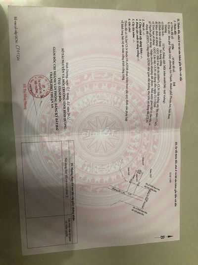 Ban đat phuong an thanh ,TA,BD,,TREN ĐAT CO MAY CAY MANG CUT,MAT LAM
