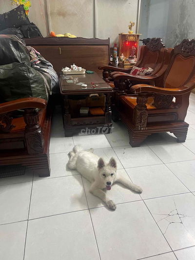 cần thuê phòng gần cv lê thị riêng quận10