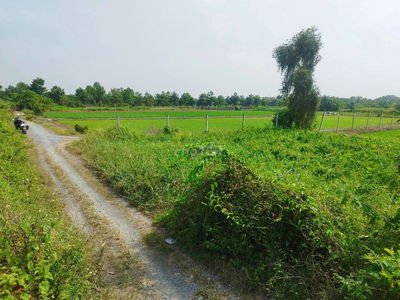1000m2 đất trồng cây mặt tiền xã Bình Mỹ giá chỉ 2.5 tỷ