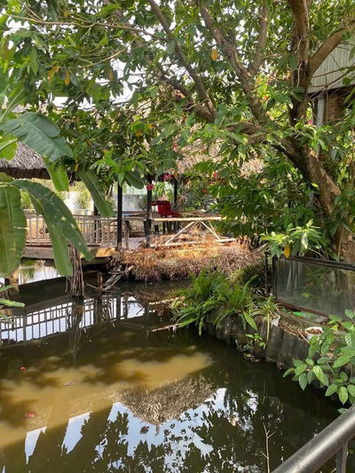 🌿 Nhà vườn 1000m² Bình Mỹ – Sẵn ở ngay 🌿