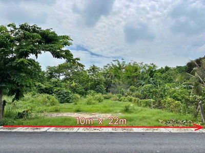 CẦN BÁN GẤP LÔ ĐẤT THỊ TRẤN CỦ CHI 224M2 (10X22M) GIÁ 550 TRIỆU, SHR