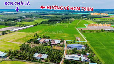 PHƯỜNG NINH THẠNH- TP TÂY NINH