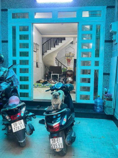 🏡 SIÊU PHẨM SHR 4x16.5m– Nhà Đúc Kiên Cố, 2PN , HẺM OTO, QUẬN 12 🏠