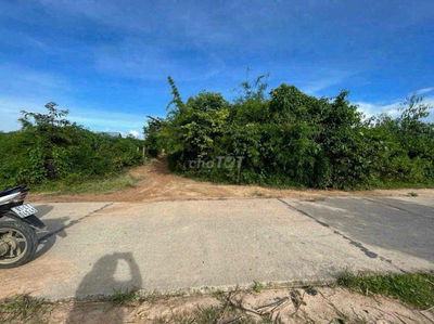Cần bán gấp 4200m2 sổ sẵn giá chỉ 199tr ,đất bằng phẳng