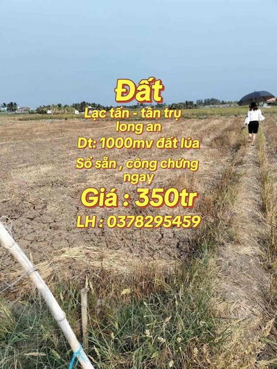 1000mv đất lúa , giá 350tr , lạc tấn - tân trụ - long an