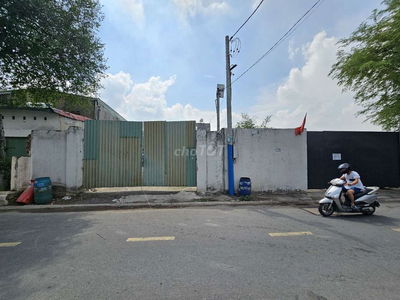 Đất đẹp 300m ngang 8m kdc Tứ Hải gần kdc Biconsi và ngã tư Chiêu Liêu