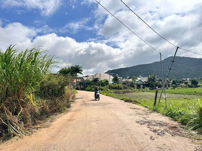 1.733m2 TT Liên Nghĩa - (25x65) - cách sân bay 2km