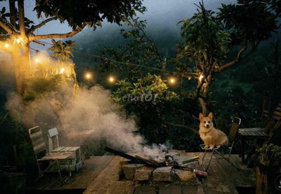 Chú Tư cao tuổi cần bán gấp lô đất P11 Đà Lạt, chia thừa kế cho vợ con