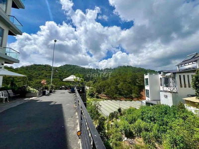 Bán đất view thông đường hoàng hoa thám