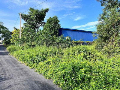 ✅ Bán đất thổ mặt tiền Nguyễn Văn Siêu , Phường 5 , TP Tân An _ 5x30m2