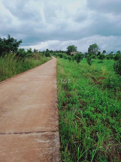 [CHỦ BÁN] đất mặt tiền 11000m²-giá 2 TỶ khu vực Tuy Đức, Đắk Nông