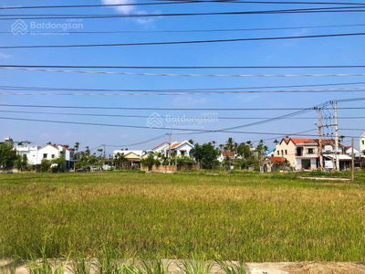 Hàng hiếm Hội An - Đất chính chủ view lúa, LH 0898 208 ***