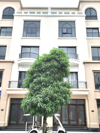 Bán liền kề Vinhomes Ocean Park 2 hoàn thiện 5 tầng mặt đường 20m, đối diện biệt thự tứ lập