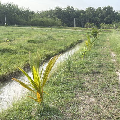 Đất nông nghiệp Trảng Bàng